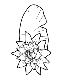 Flower Botanical Lotus Kids Coloring Pages Pdf, Free Vectors File